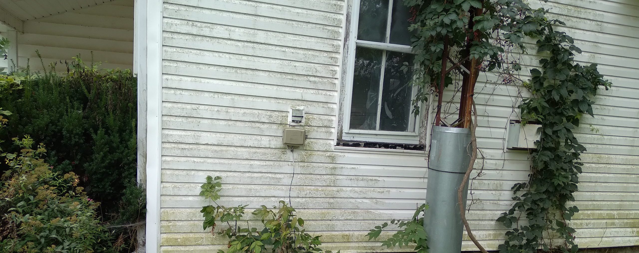 mould and mildew on house siding creating health risks