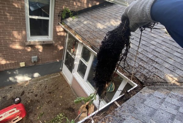 professional gutter cleaning gloved hand pulling out wet debris