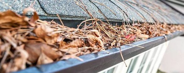 dried leaves and pine needles clogging eavestroughs