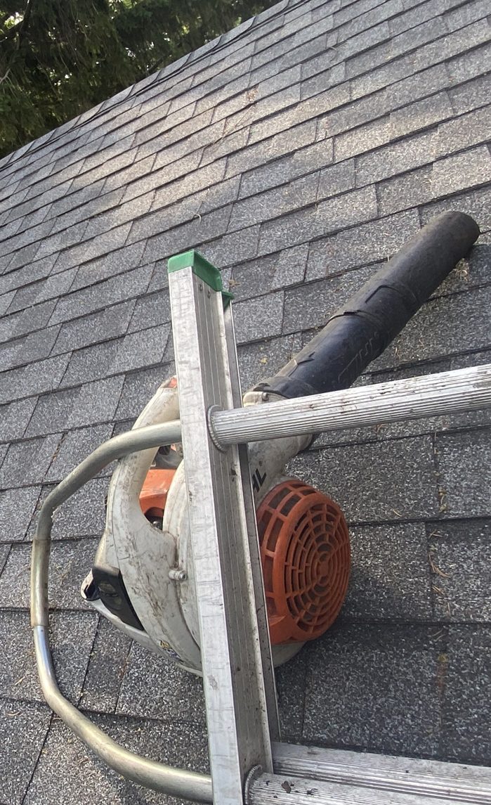 professional ladder and leaf blower on top of roof