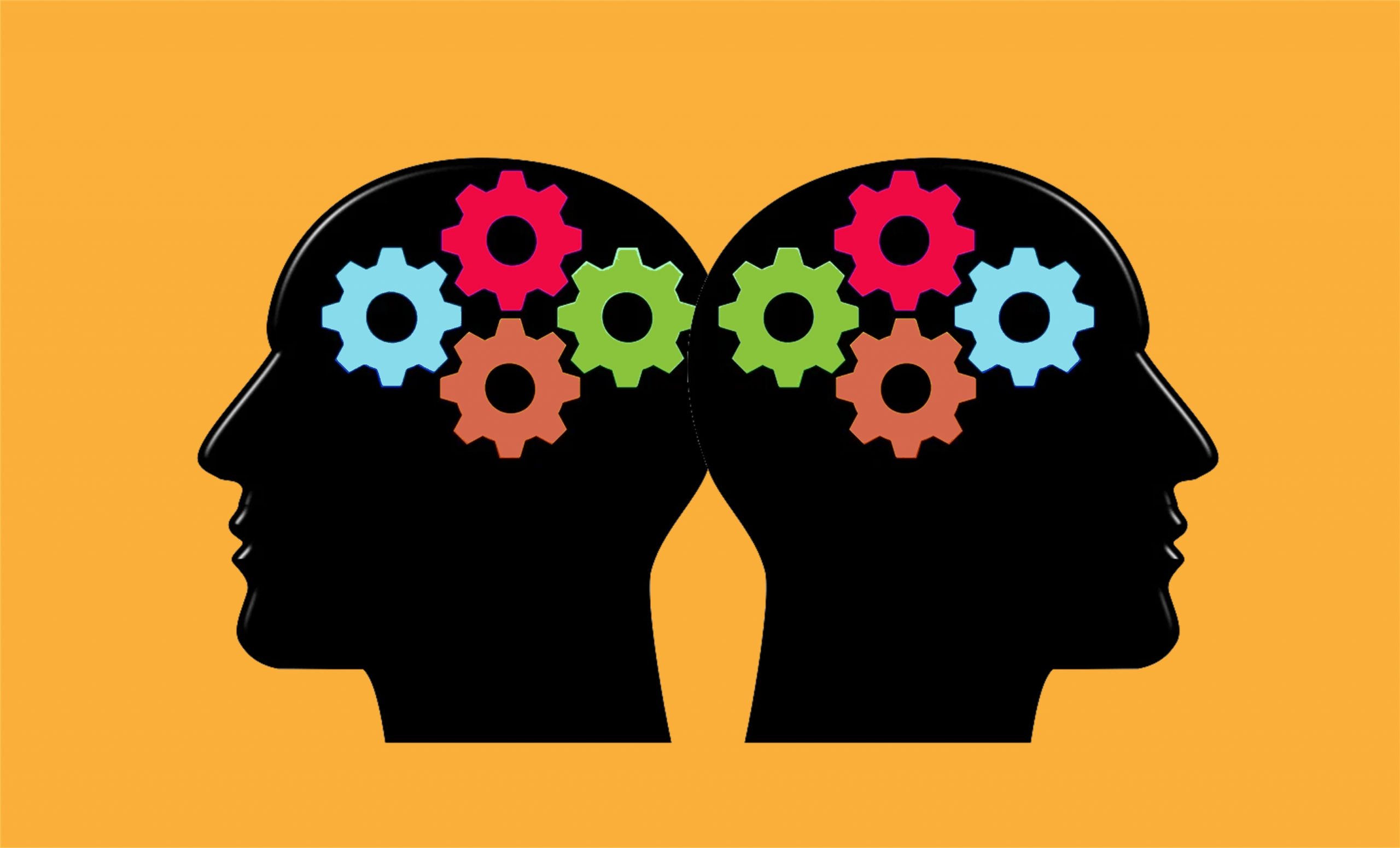 Illustration of 2 silhouette heads with coloured gears inside for knowledge and experience