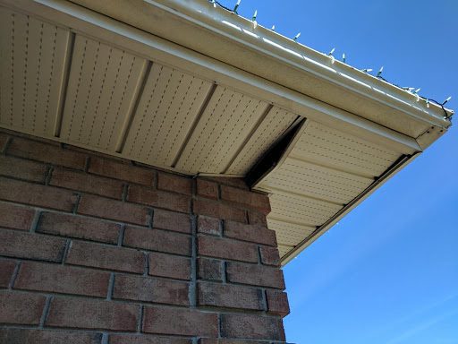 racoon entry point in soffit installation